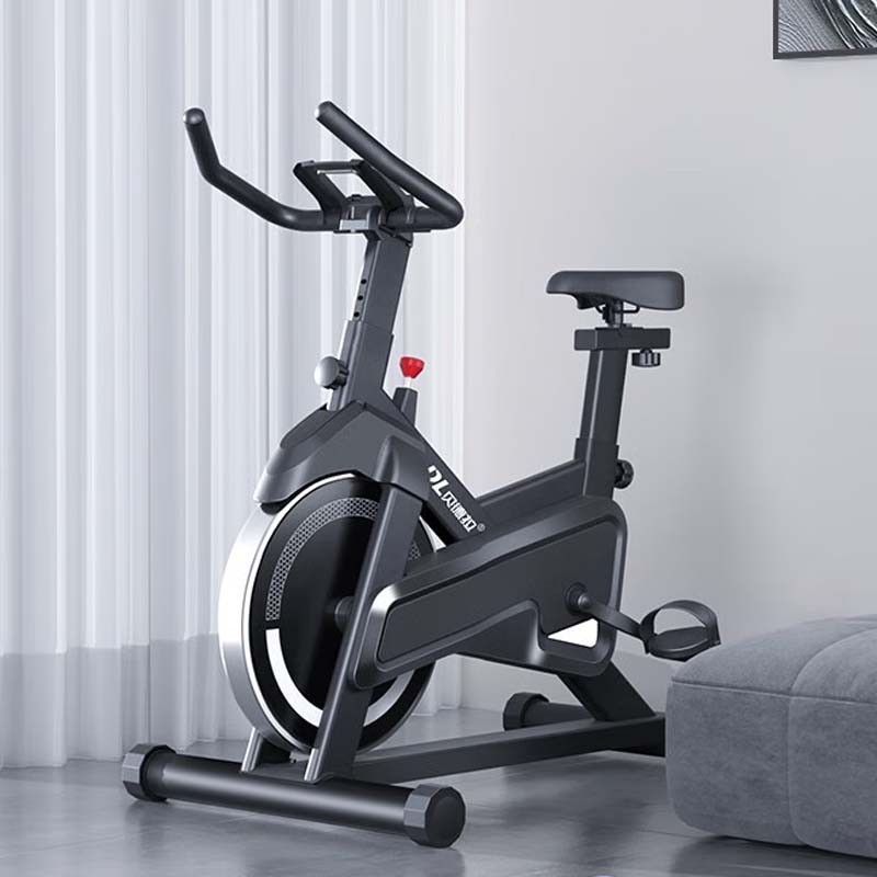 贝德拉（BeDL）动感单车家用健身车智能运动健身器材自行车D1 豪华版/加粗车架（骑士黑）